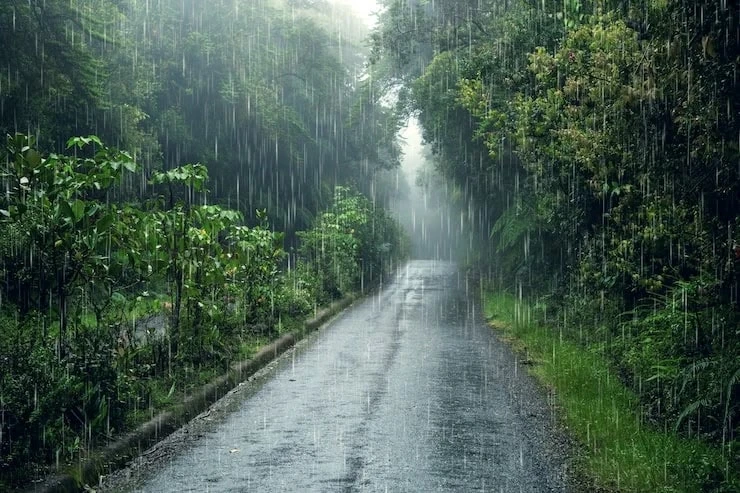 И о погоде: Эта неделя в области будет дождливой🌧 Всем доброго утра! ☔

Сегодня дождь начнётся ближ