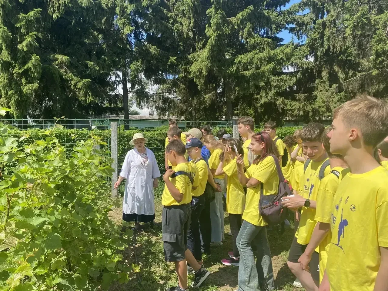 ⚡️ В Курской области школьники изучают экологию через практические исследования