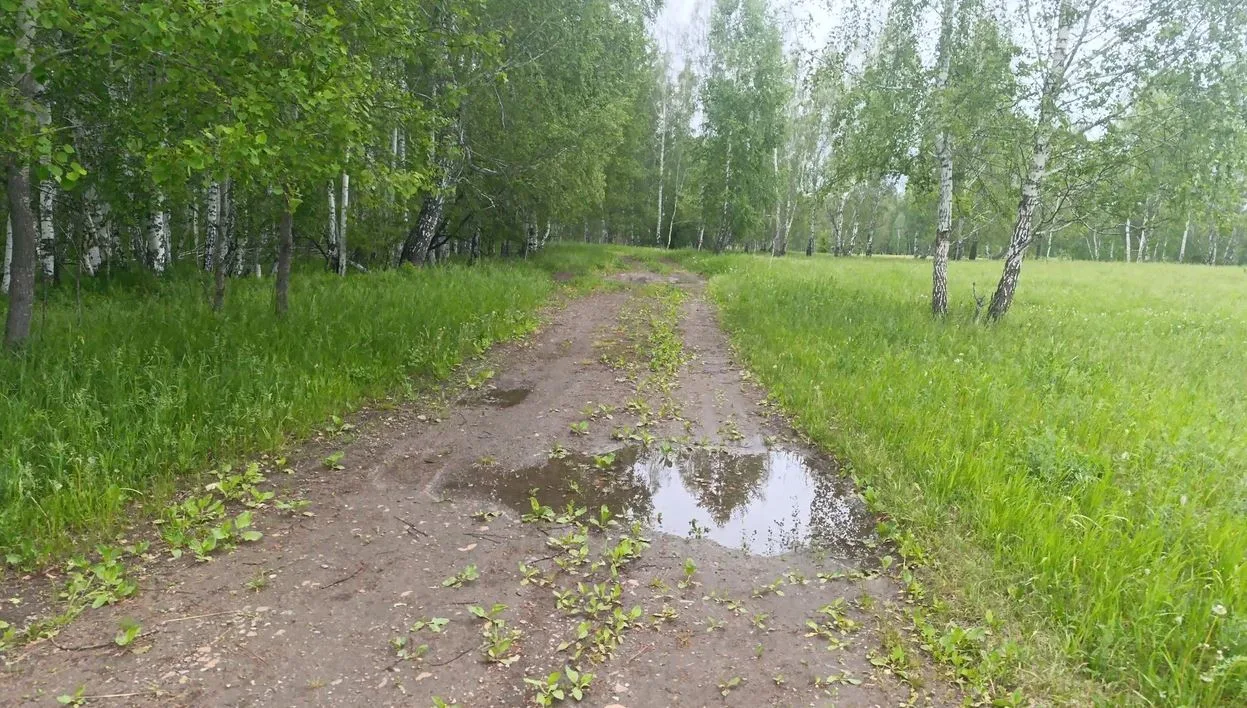 Сегодня с удивлением обнаружил, что в нашей области до сих пор действуют противопожарны...