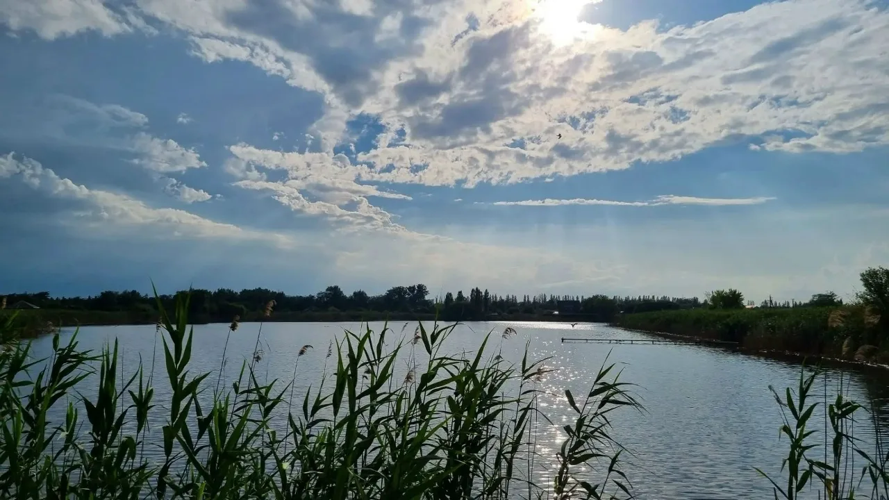 Приятного отдыха и спокойной ночи  ✨