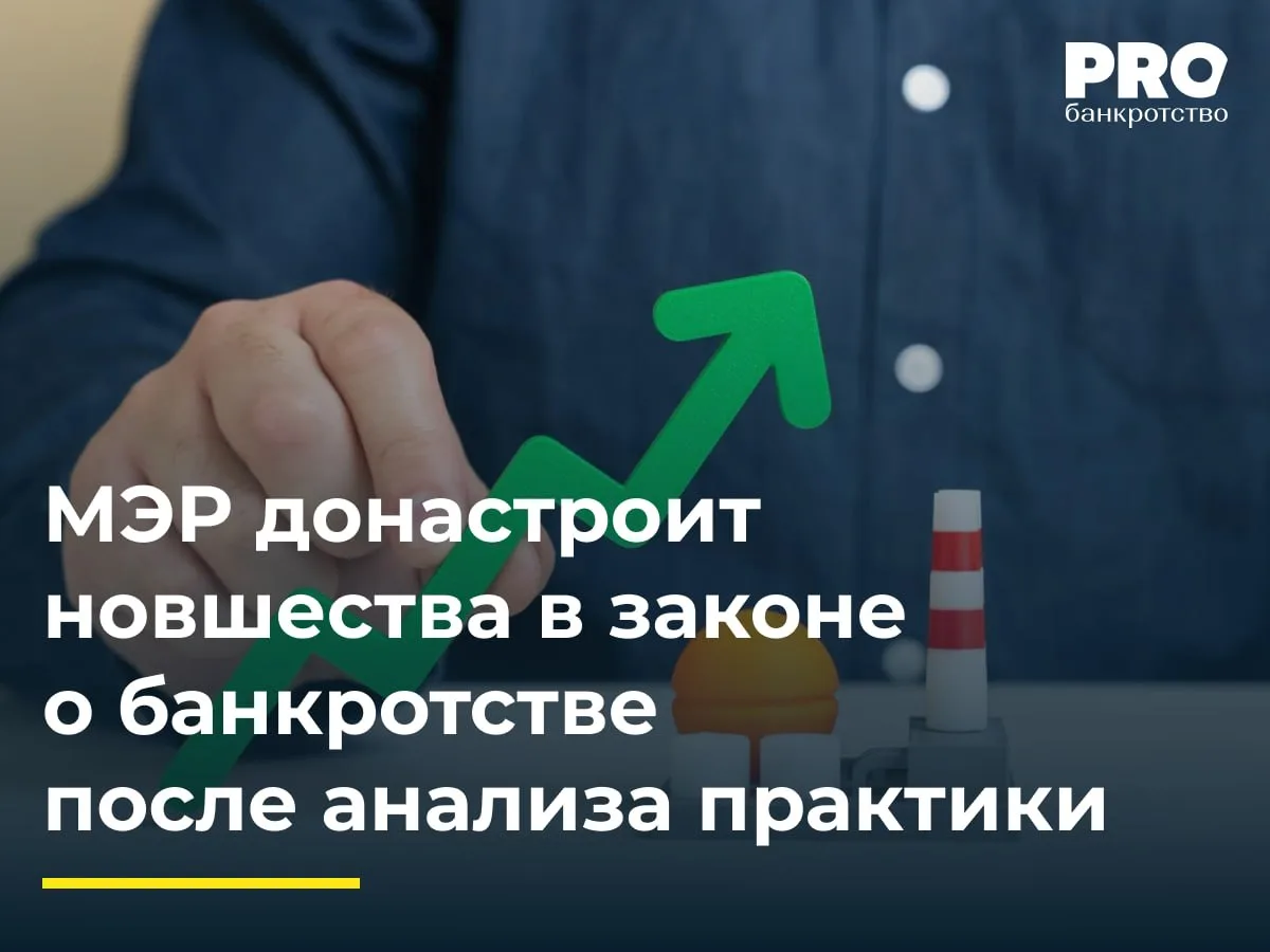 МЭР донастроит новшества в законе о банкротстве после анализа практики

Минэкономразвития планирует 