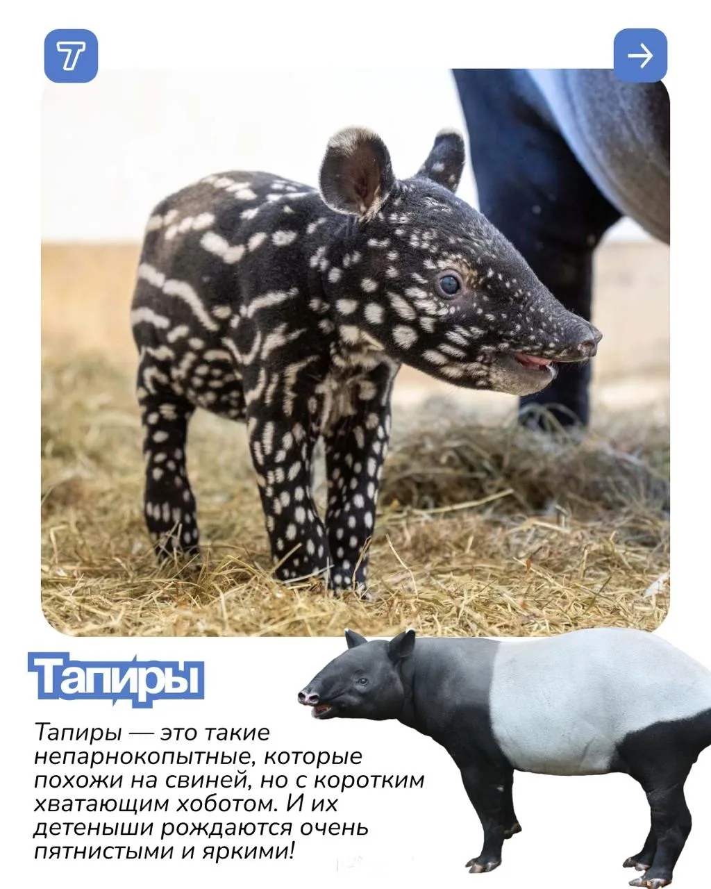 Иногда смотришь на кого-то, смотришь потом на его родителей и думаешь: «ну вот как у таких прекрасны