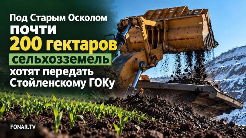 В Старооскольском округе планируют перевести почти 193,5 гектара сельскохозяйственных з...