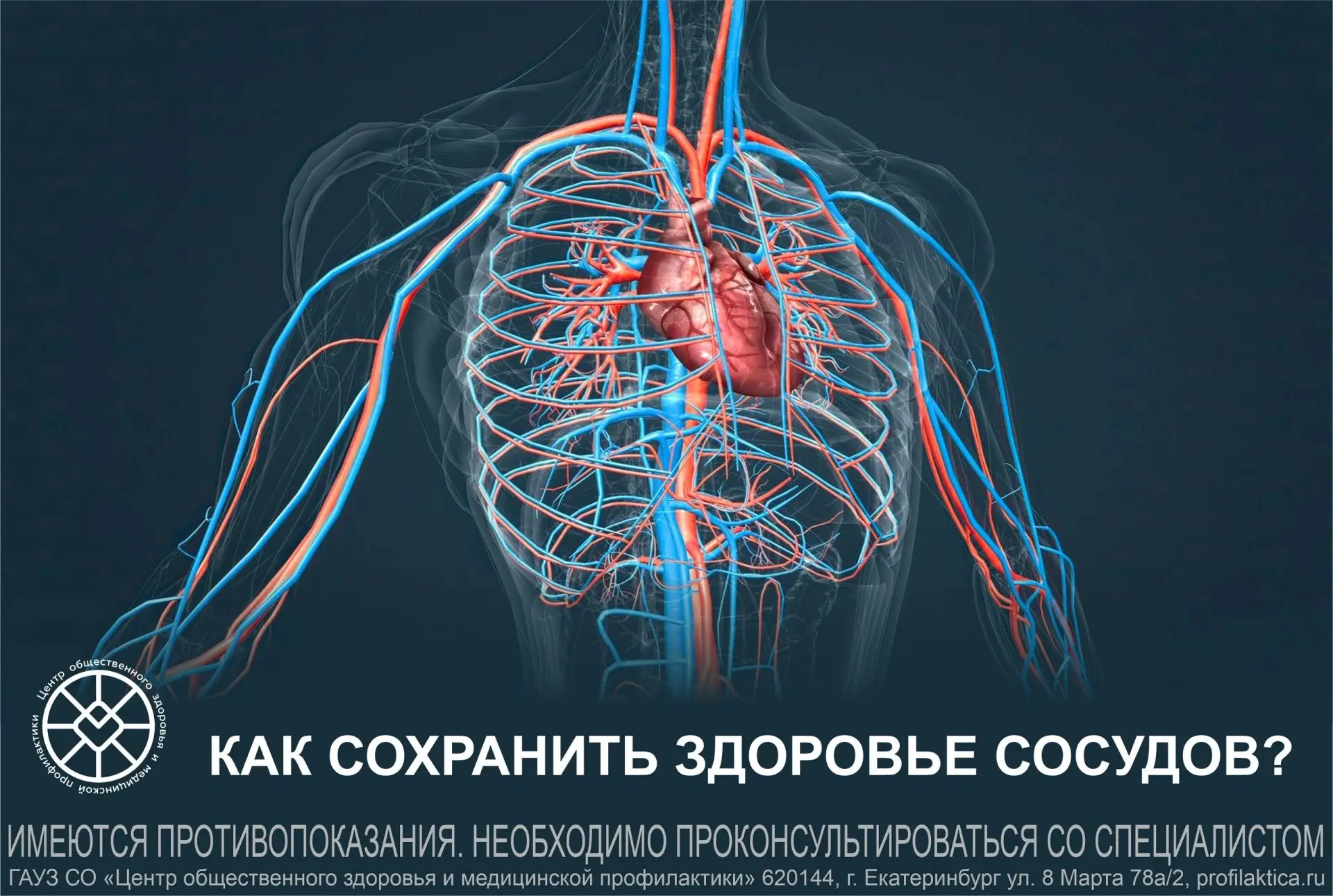 Ученые установили, что люди, в питании которых содержится достаточно витамина К, реже с...
