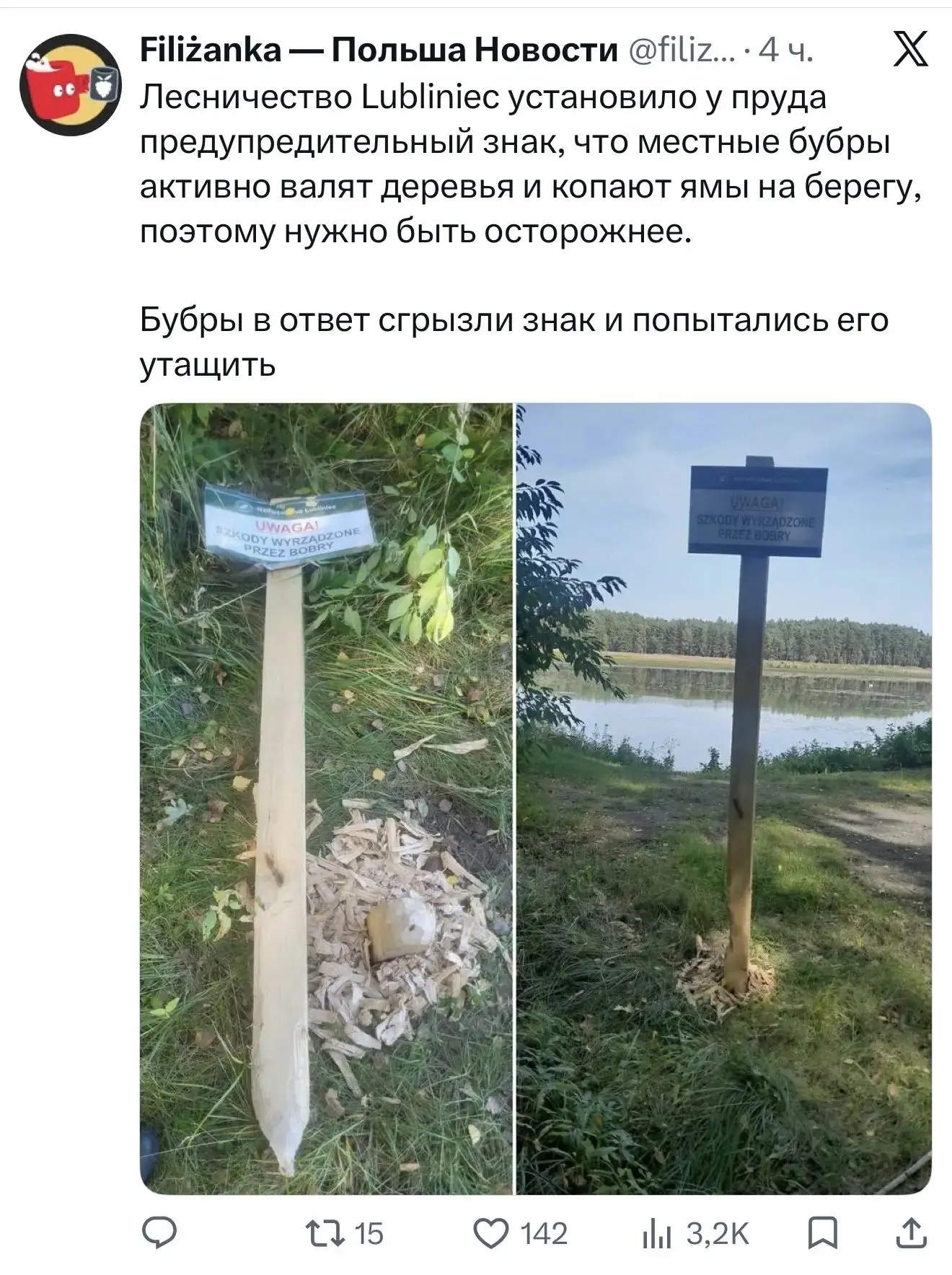 Бобр курва!