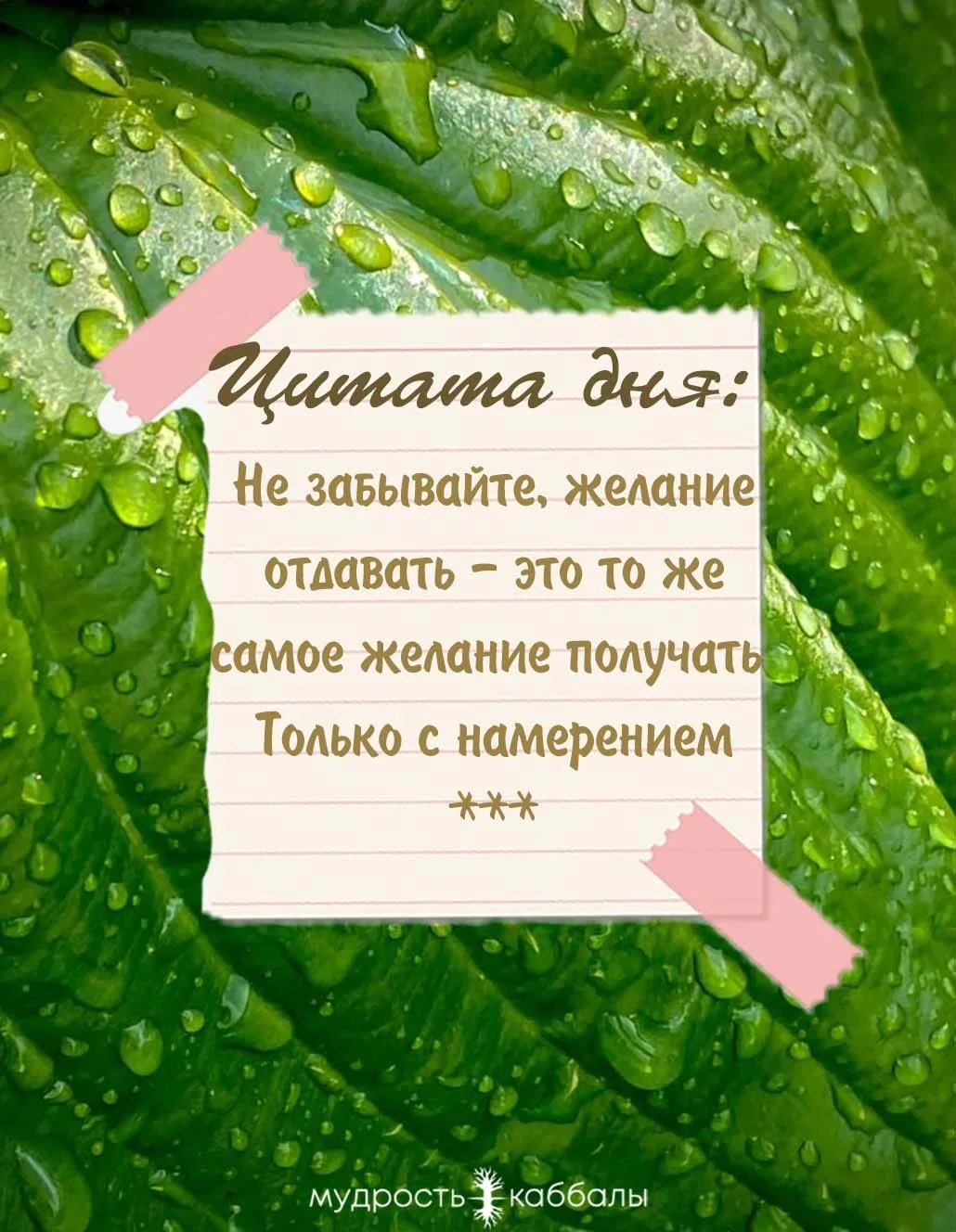 #отдавать #получать #намерение #желание