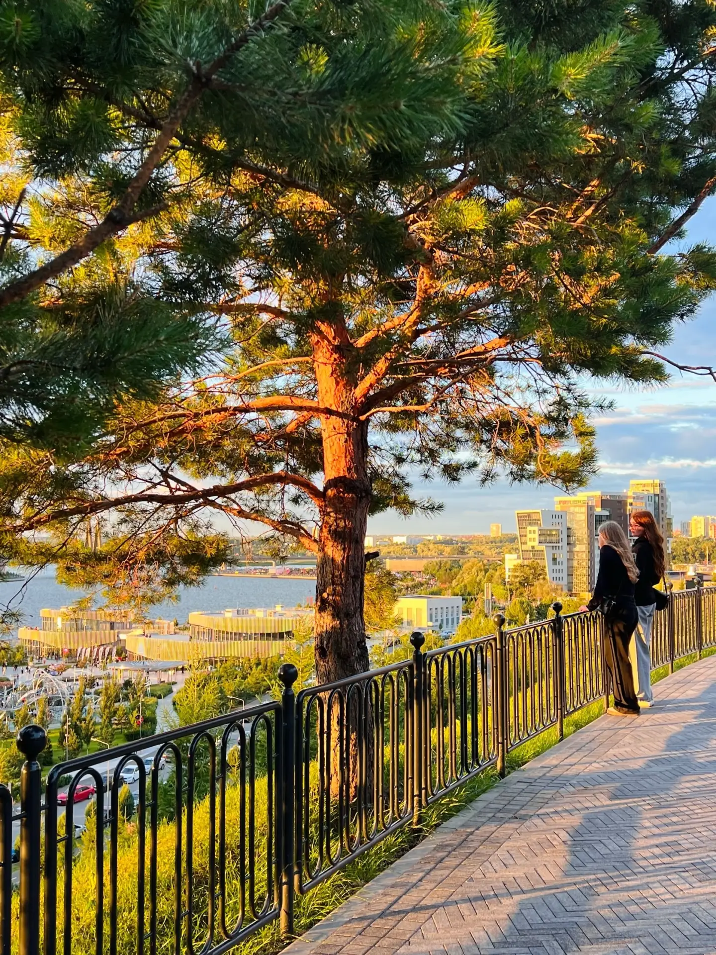 Фуксовский сад на закате 🌅