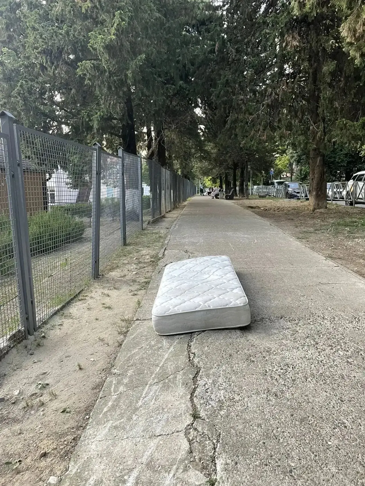 ⚠️ В Адлере яму посреди сквера «отремонтировали» матрасом.

Жители Голубых Далей бьют тревогу: возле