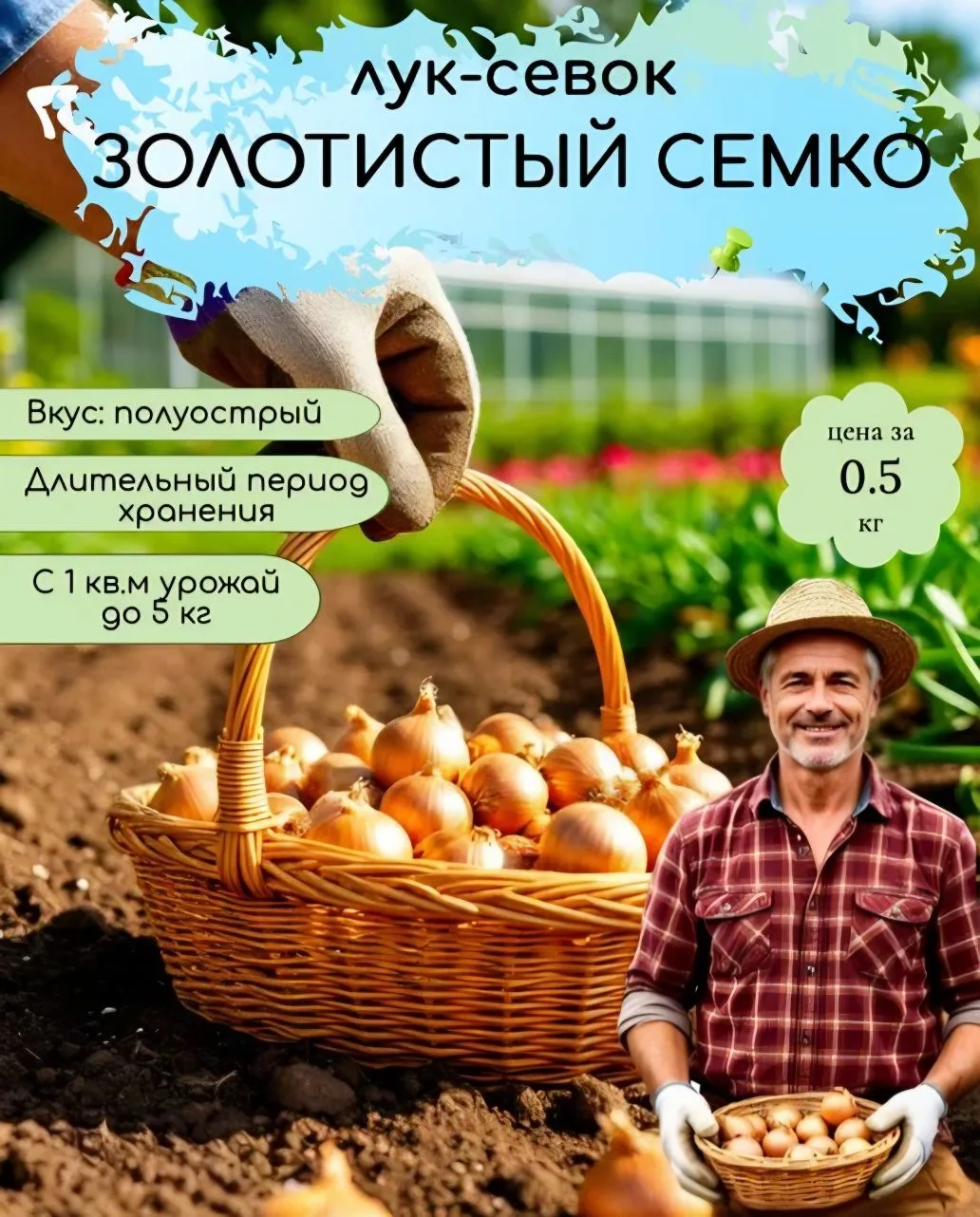 🧅 Лук‑севок «Золотистый Семко»: надёжный старт для богатого урожая! 🧅