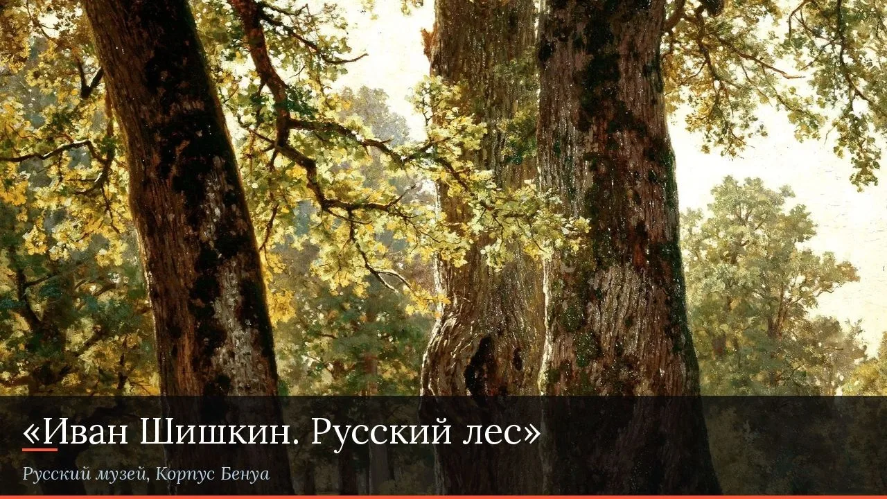 ☀️ Петербург ждёт: 6 выставок мая–июня, которые не стоит пропускать