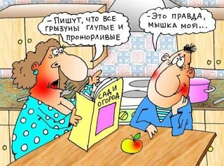 Карикатуры на грани
