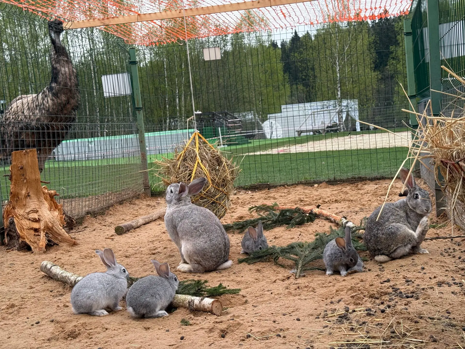 Агент ЦЫПАчка передает: впереди нас ждут жаркие денечки, планируйте отдых на природе (и...