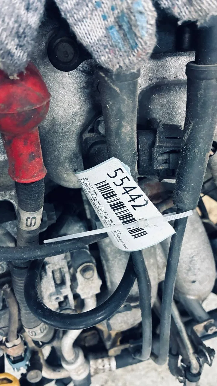 Двигатель Subaru Forester EJ251 1997-2003 #55442