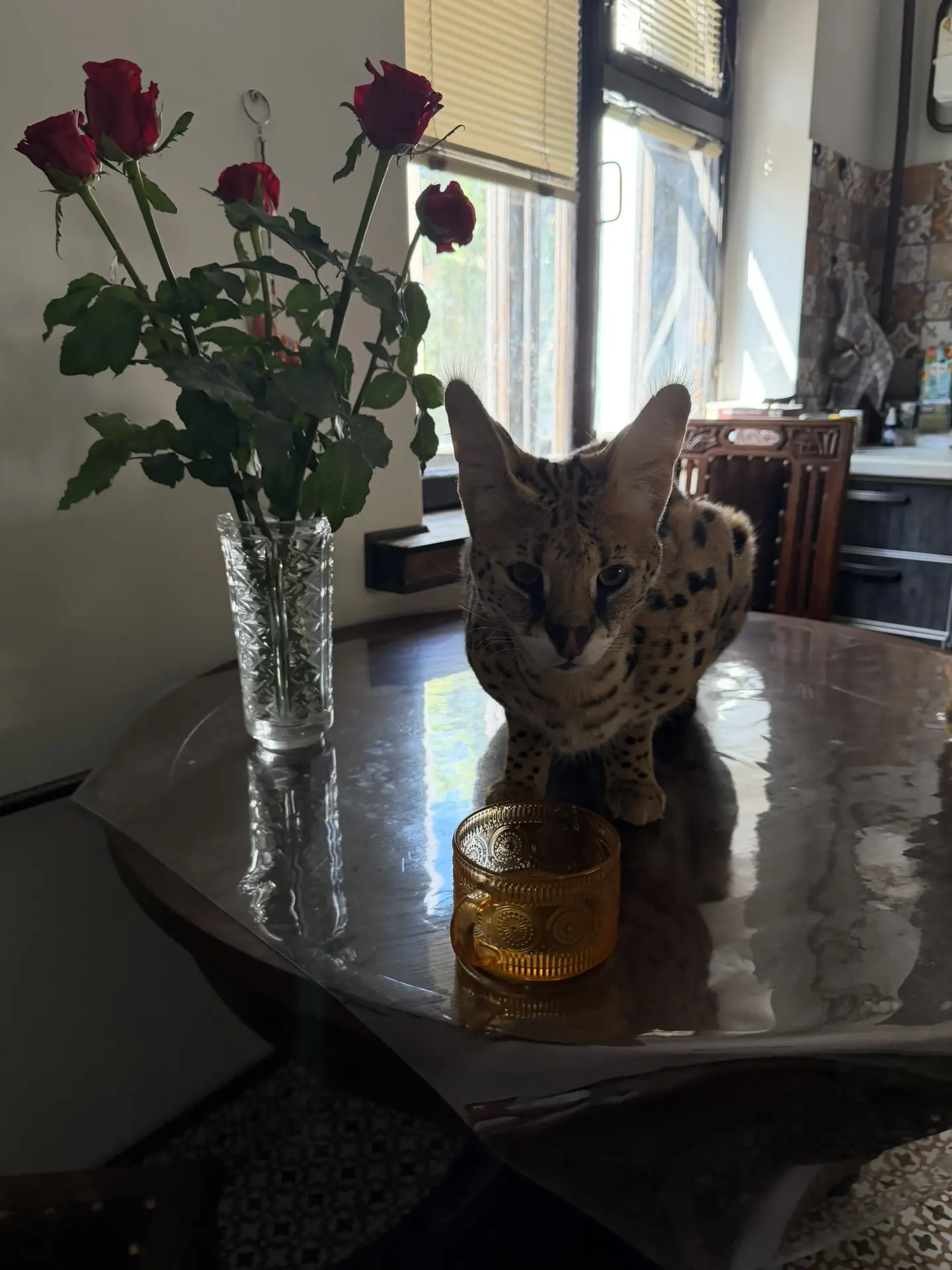 Выдру горошковую дыдловну, потеряли ?