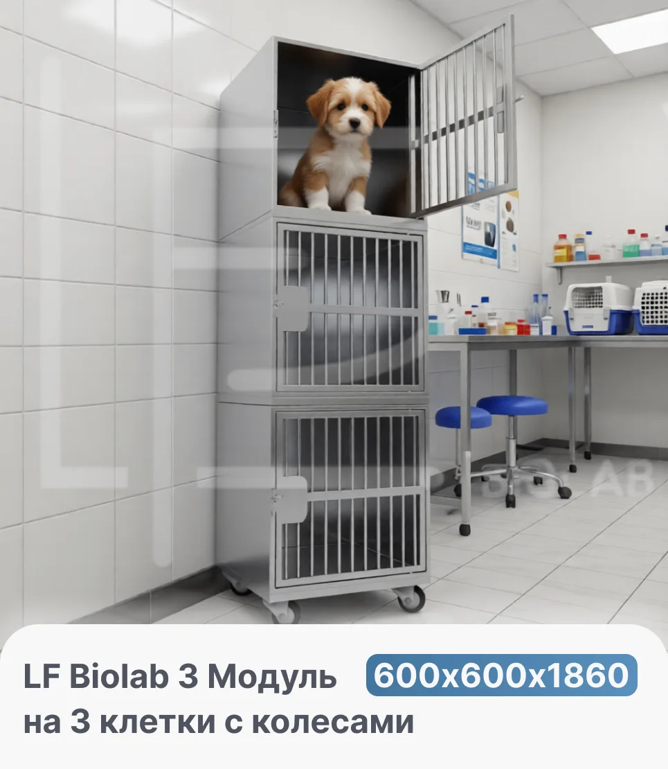 Тележка-клетка LF Biolab 3: комфорт, гигиена и мобильность для ветстационара