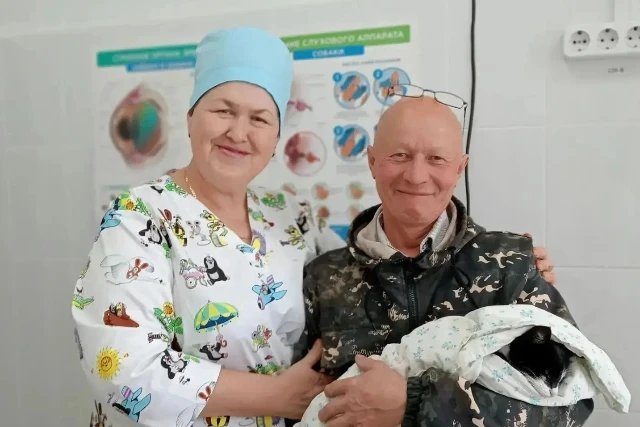 В Куженерской ветклинике спасли кошку с осложнёнными родами