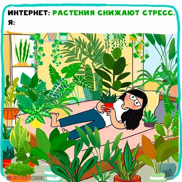 Так и живём, правда? 😁