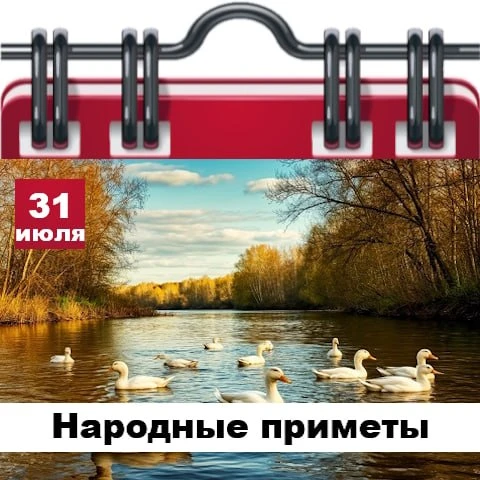 Народные приметы 31 июля

✅ Если день жаркий – декабрь будет холодным.
✅ Еловые шишки находятся толь