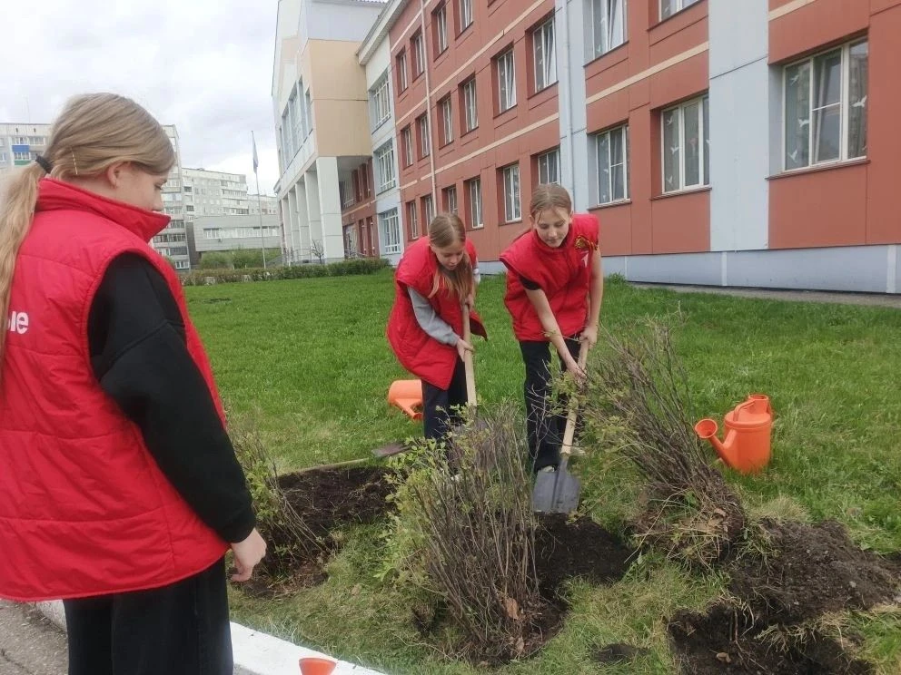 🌿 «Сад Памяти» в школе №110: живые ростки благодарности 🌳Ученики 5-х классов присоединились к всерос