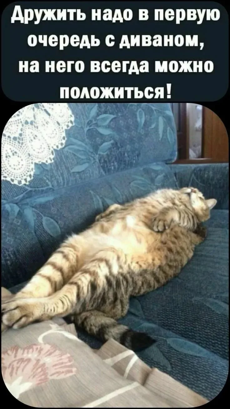 Я спат
