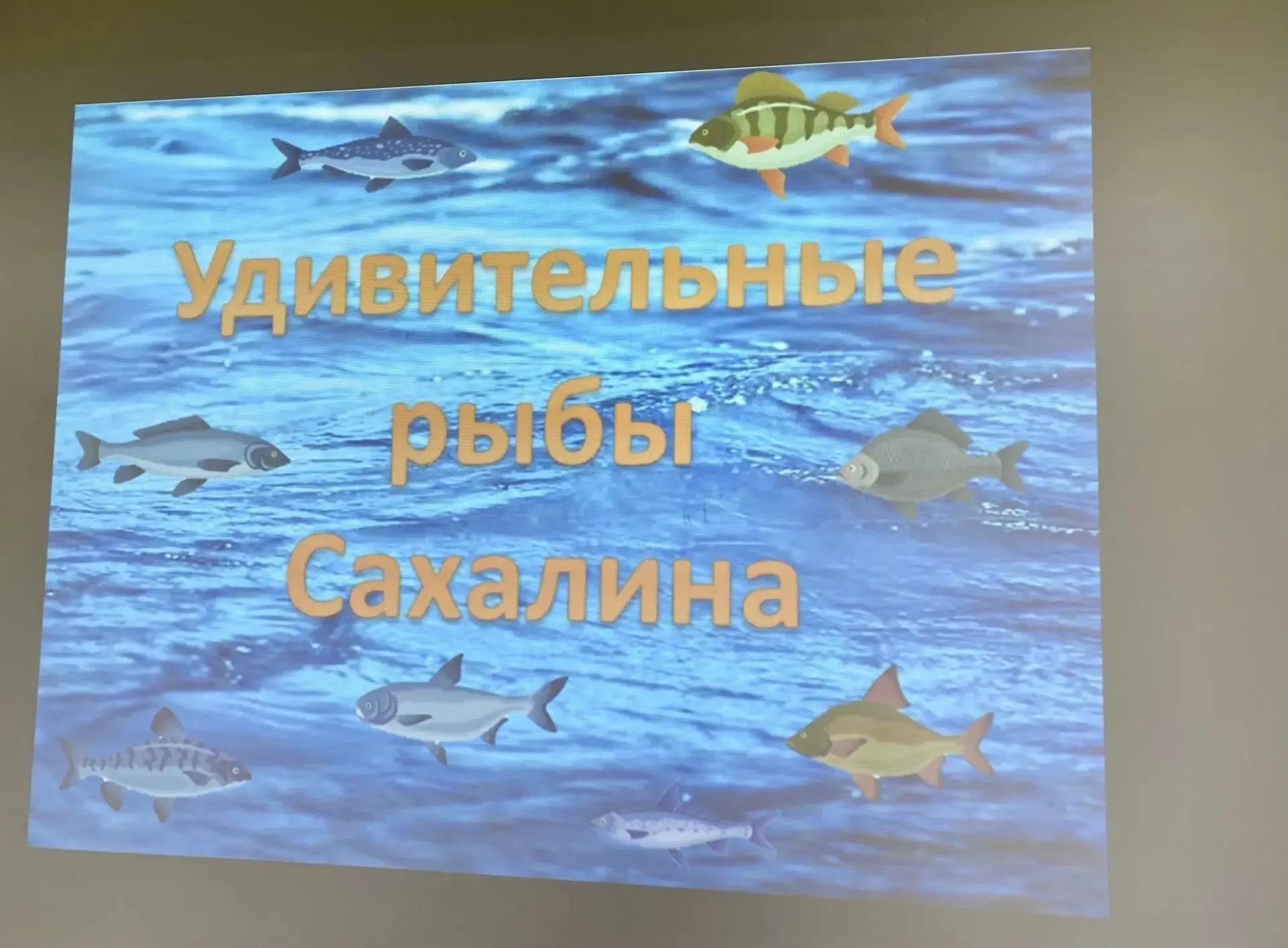 🎭В МКУ «Макаровский краеведческий музей» вновь звучал детский смех: в гости к нам заглянули ребята 