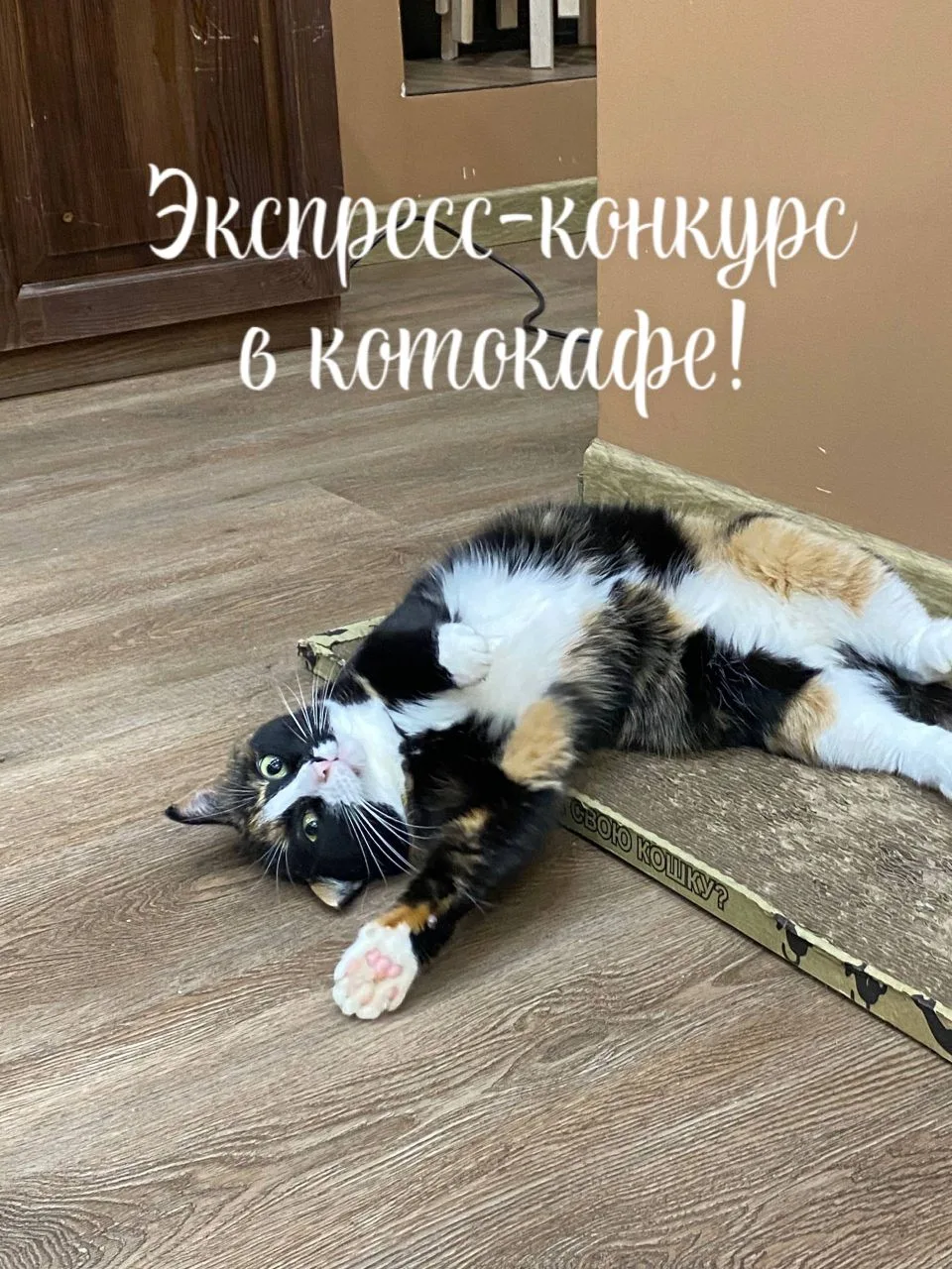 https://vk.ru/wall-218614560_11484