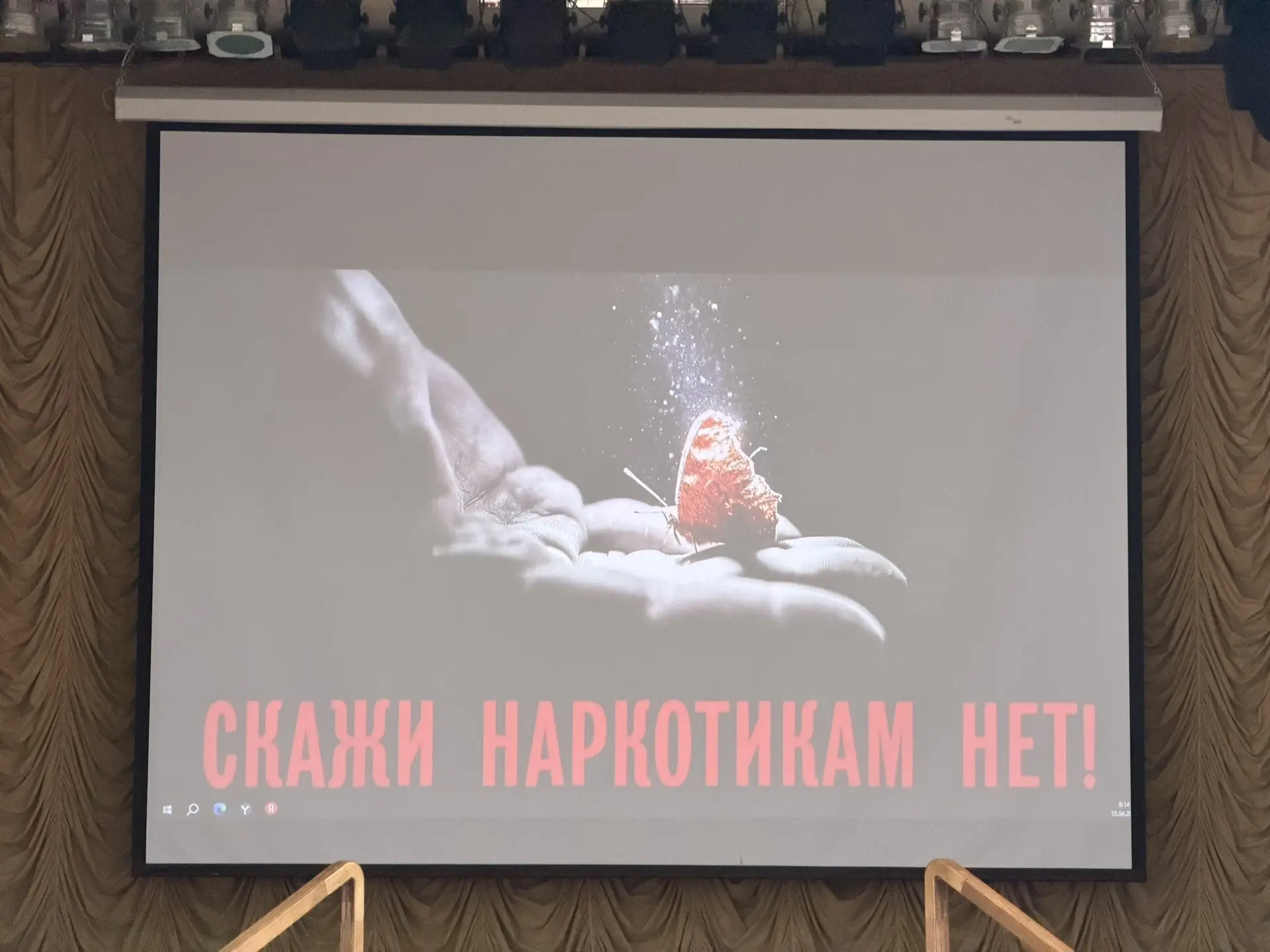 Сегодня учащиеся старших классов приняли участие в региональной акции «Чистое поколение» и посетили 