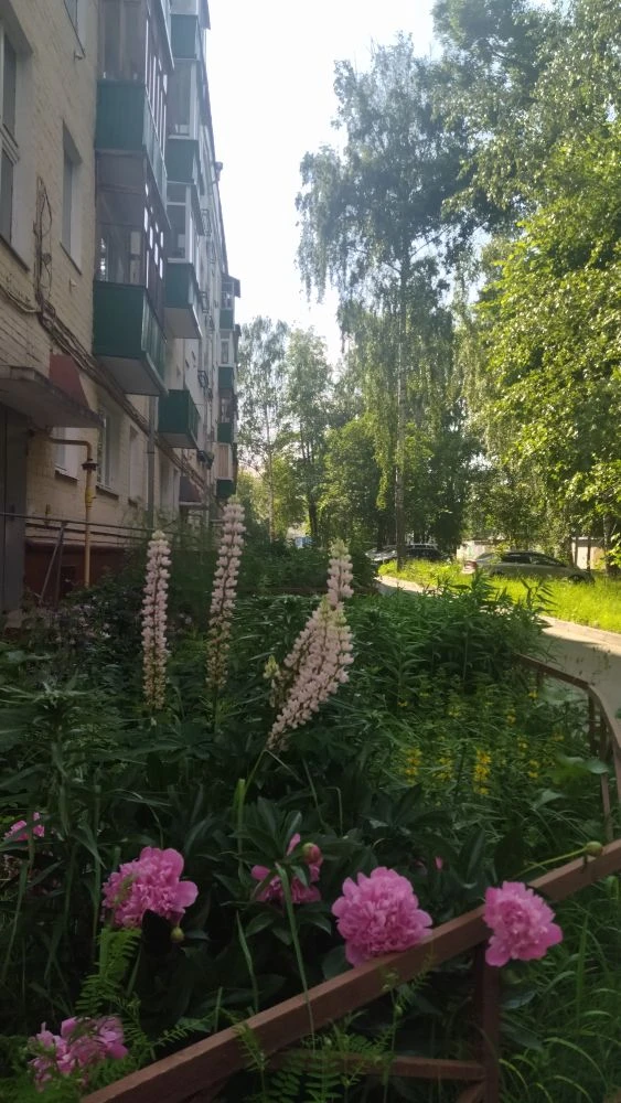 Доброе утро, Зеленодольск 😊🌸🌾
