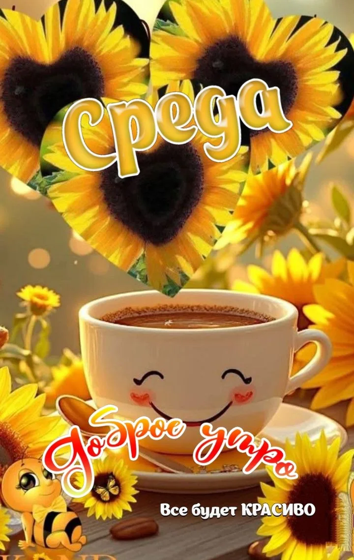Доброе утро среды !!♥️