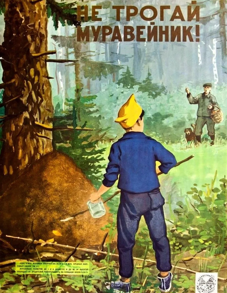 Не трогай муравейник! 

(Шкрабо А.) 1969 год

Муравьи защищают лес от вредителей: гусениц совок и ше