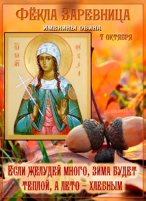 https://max.ru/invista123456