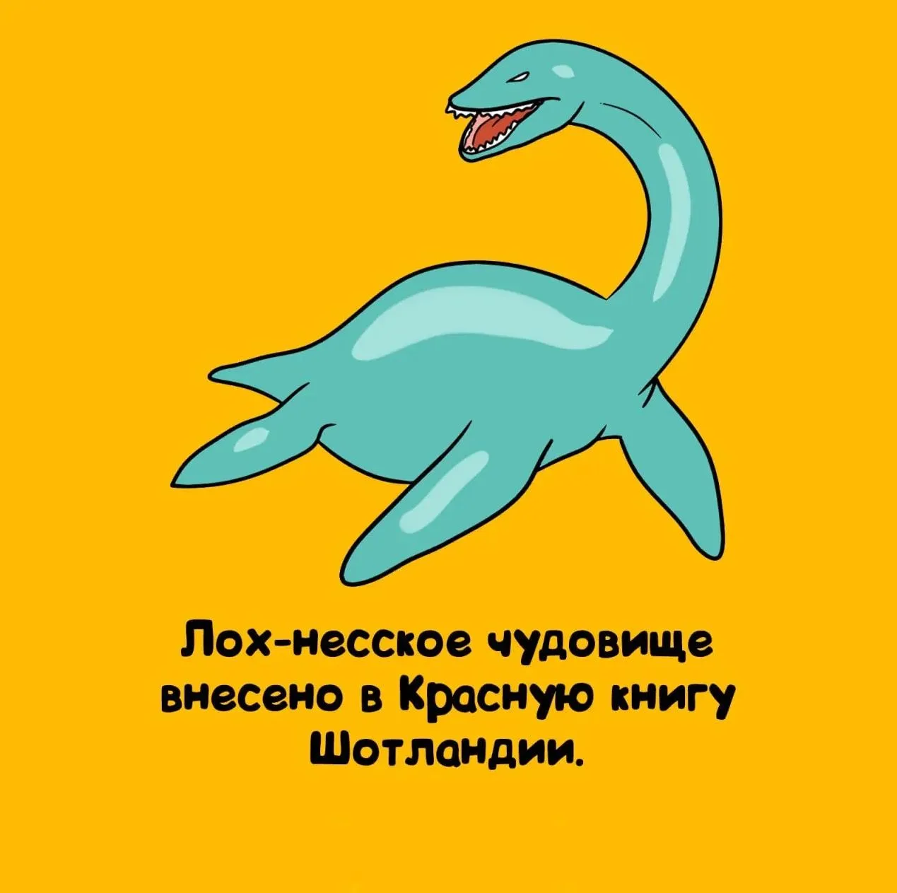 Ставь ❤️, если не знал этого факта, и подписывайся — впереди ещё много открытий!
