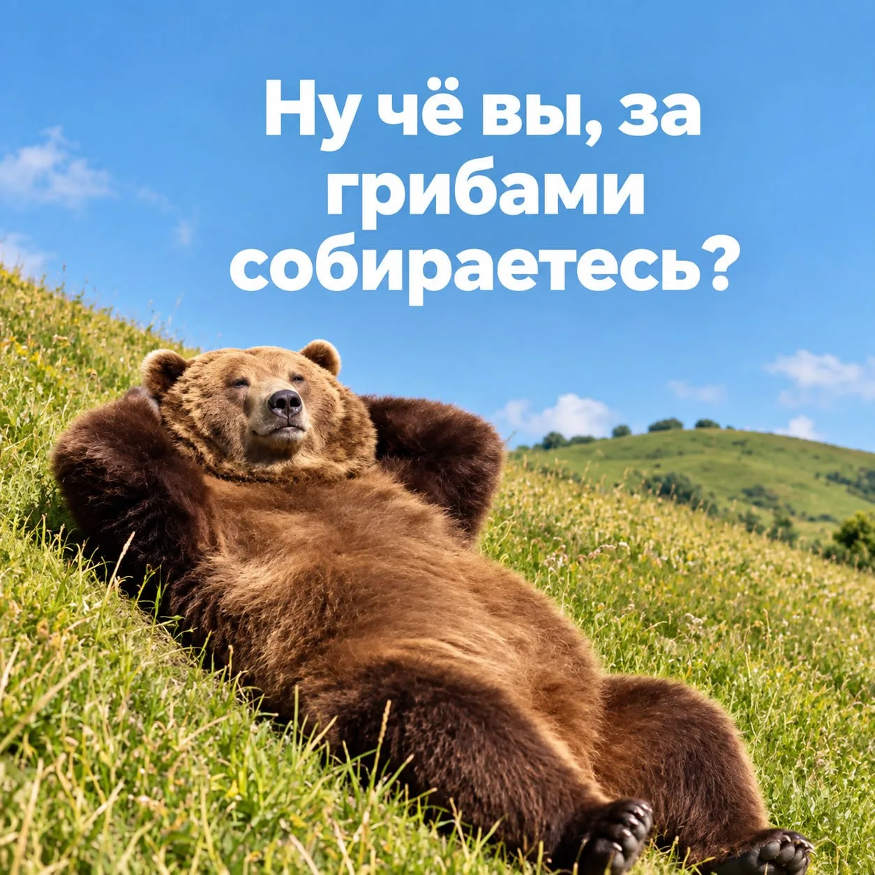 Актуал-ОЧКА 😁