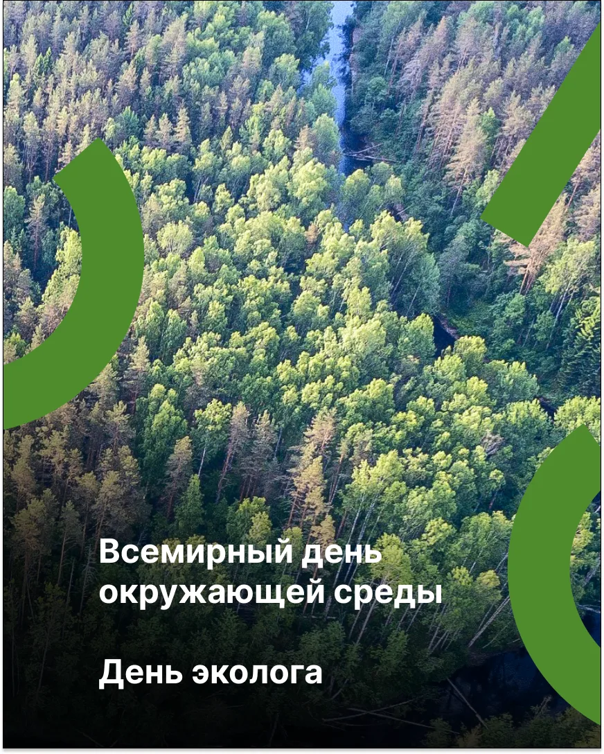 🌱5 июня — Всемирный день окружающей среды и День эколога в России!

Это особый день для всех, кто з