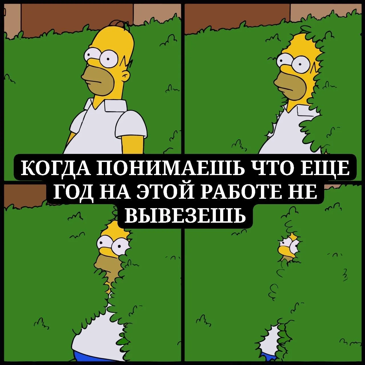 «Пашу как проклятый, постоянно учусь, а денег всё равно не хватает»