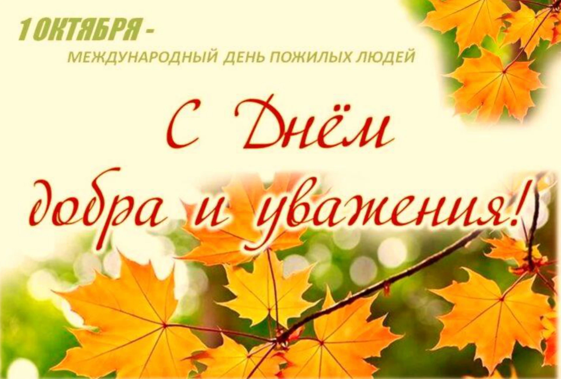 Дорогие друзья!