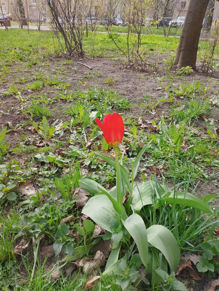 У нас весна, а у вас?