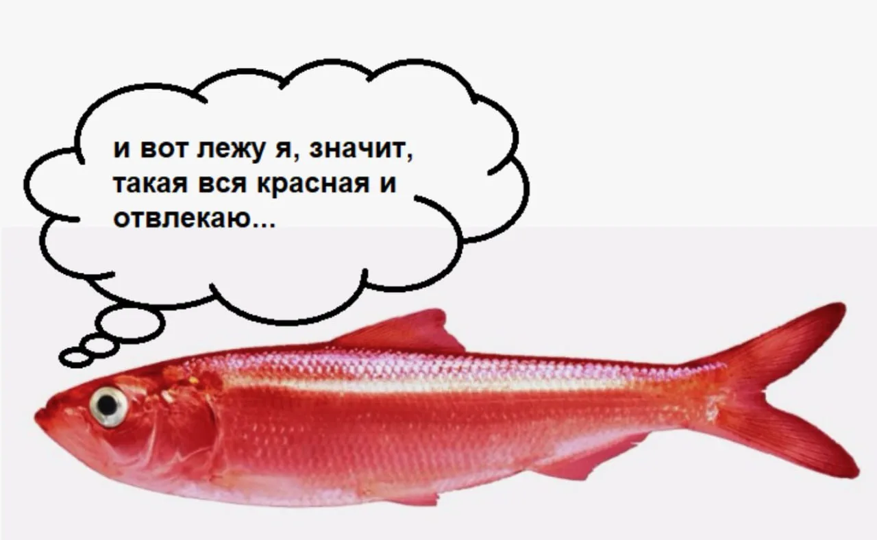 Журналист обращается к депутату:
