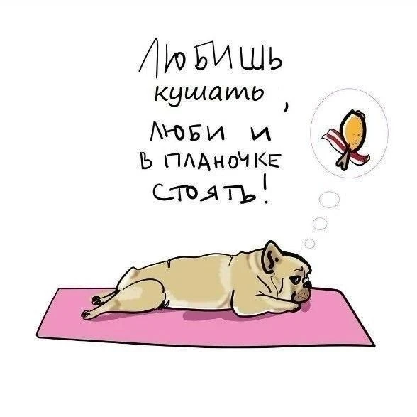 А вы стоите в планке?🙃