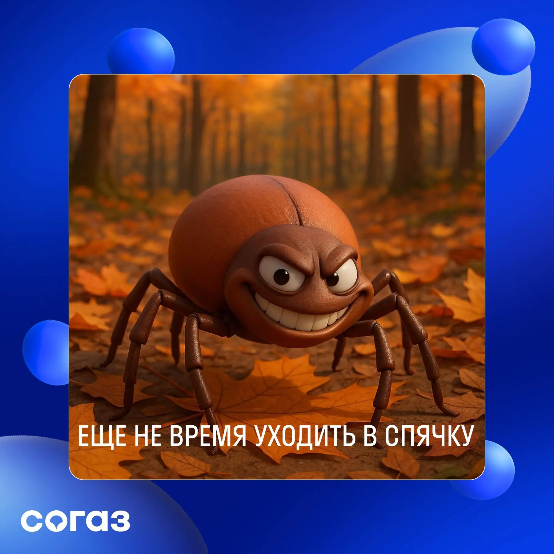 Клещи будут сохранять активность до середины ноября в центральной части страны. Прохладная и влажная