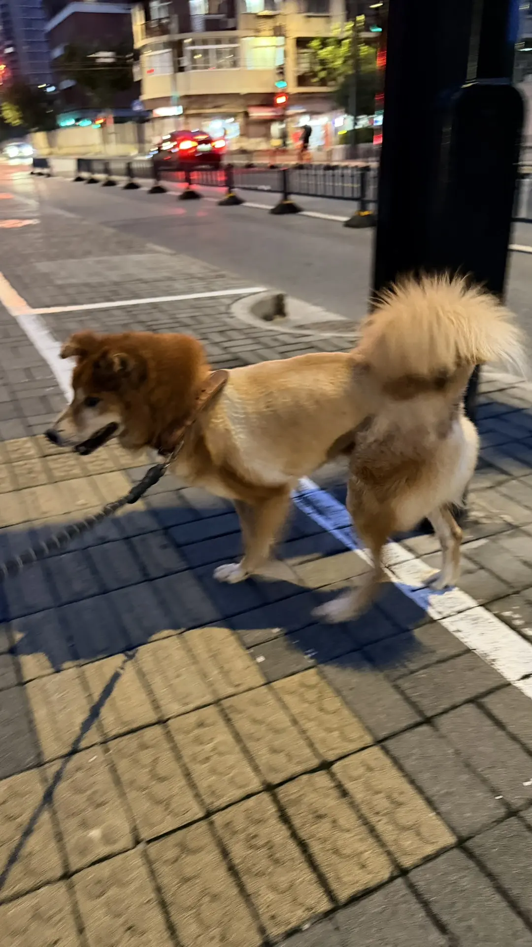 Не могу пройти мимо этой красоты😊