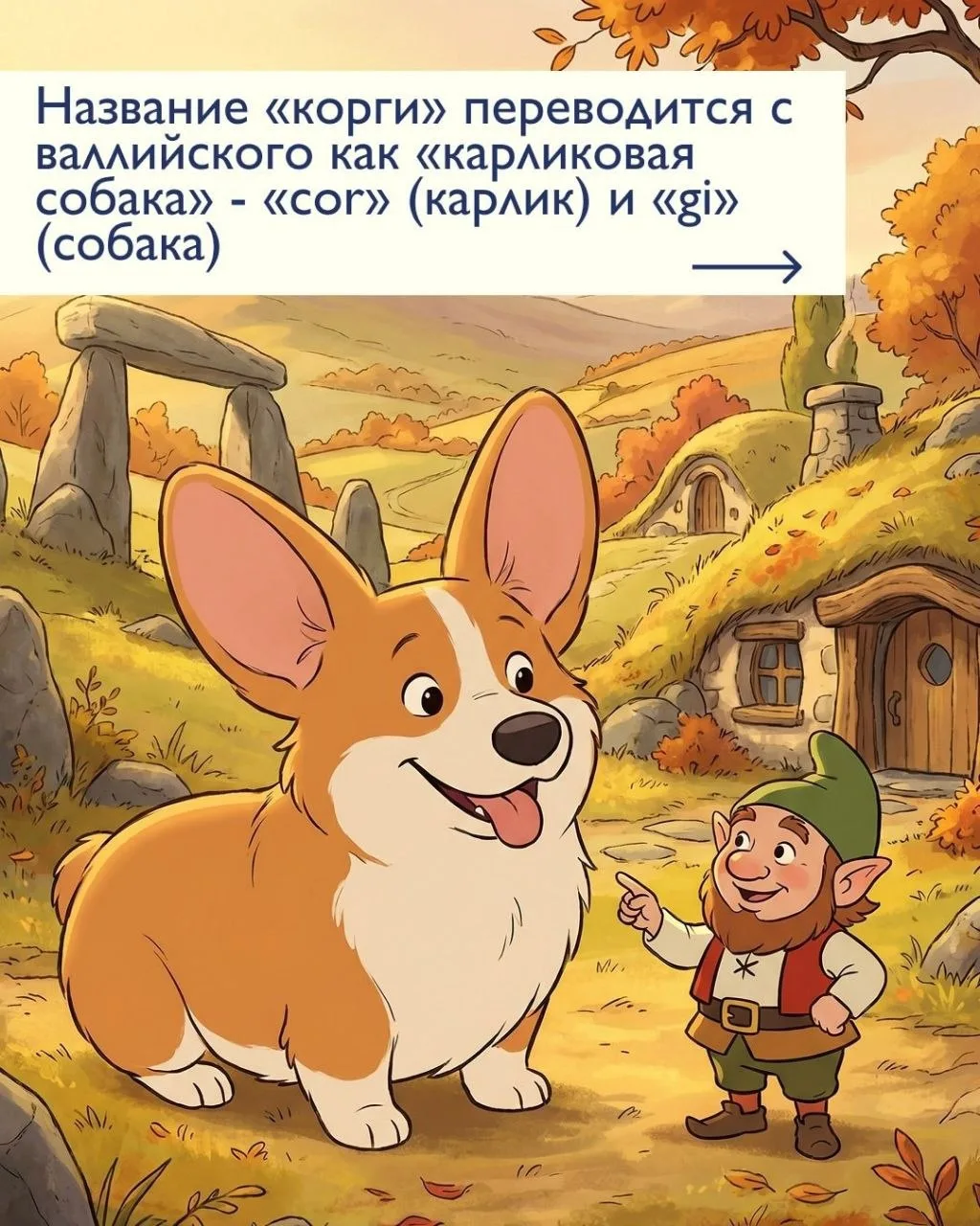 Интересные факты о Корги 😍