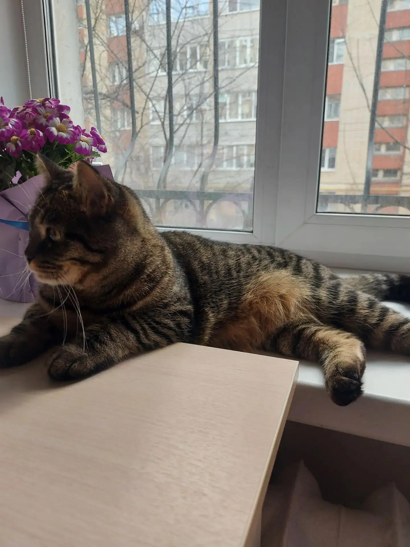 😺🐶Акция: «Моё сердце — их защита♥️»