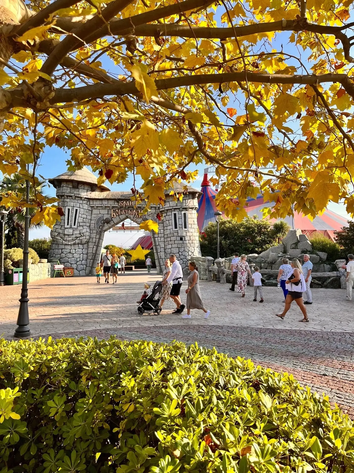 Золотая осень в Сочи Парке 🍁