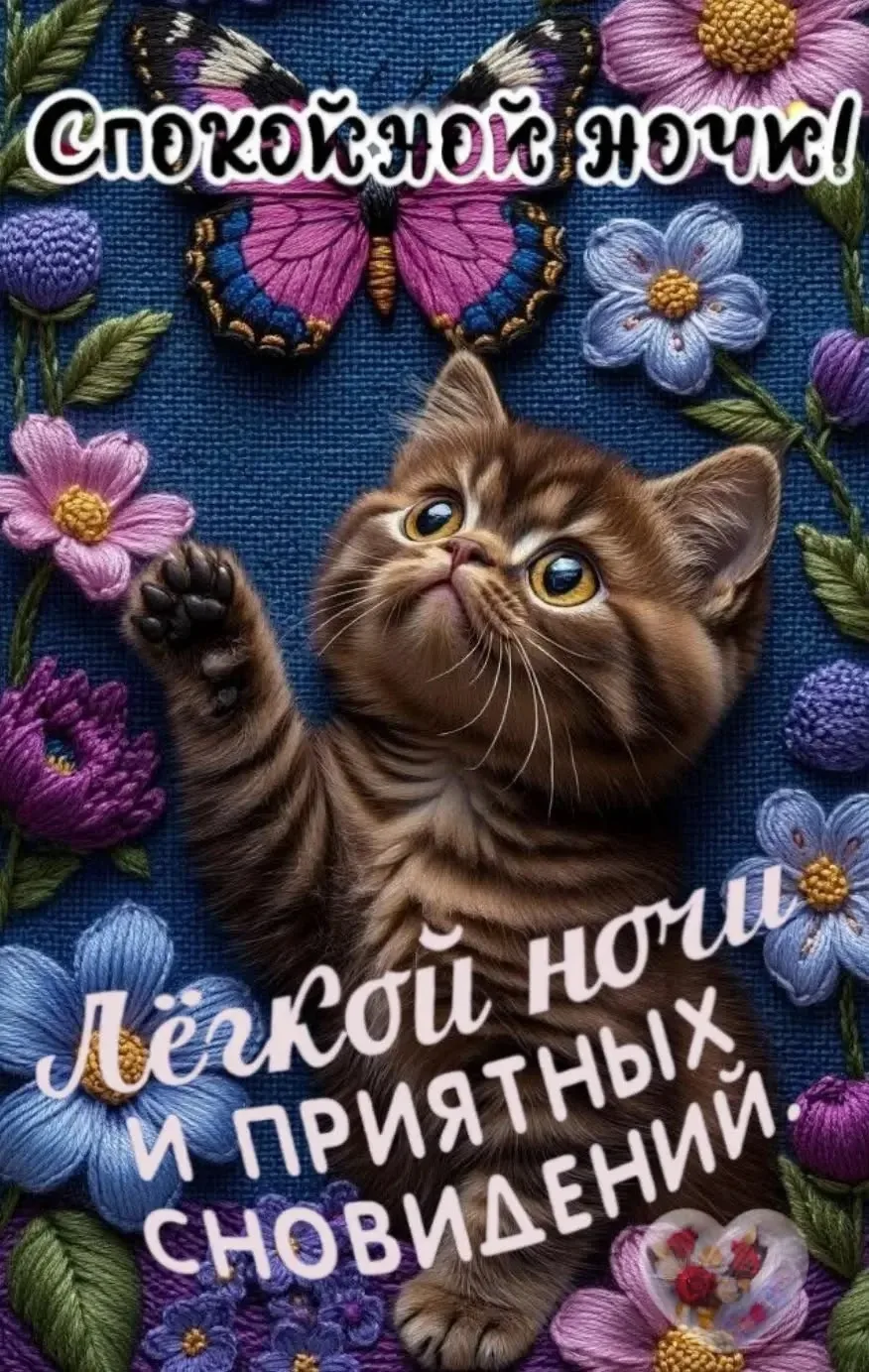#Спокойнойночи