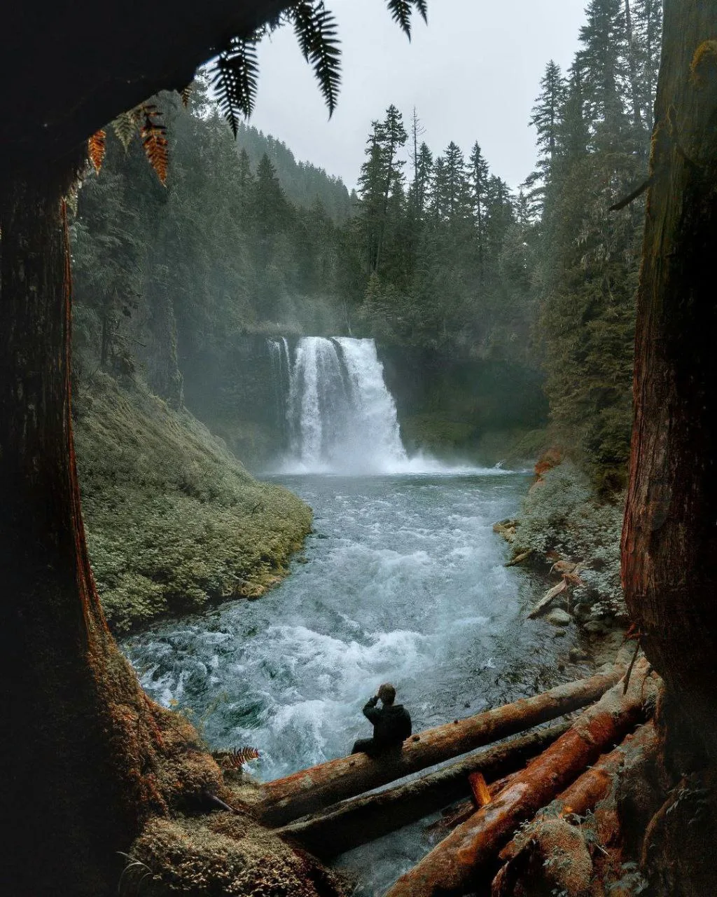 Фотографии Криса Генри выглядят успокаивающими.

Arsmundi