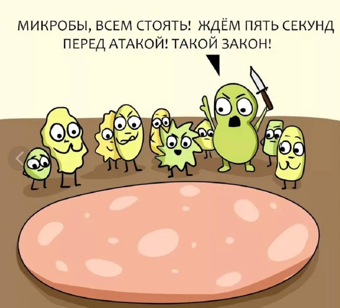 Правило 5 секунд работает или нет?  Легендарное высказывание. Если еда падает на пол, многие думают: