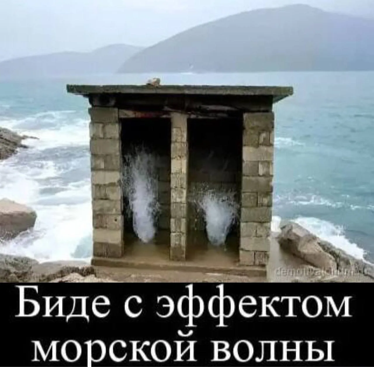 Записки алкоголика🥃 ([контакт скрыт]) | Мы в MAX (https://max.ru/club6554386121)