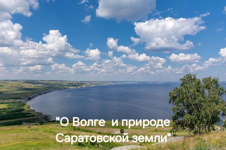 О Волге и природе Саратовской земли