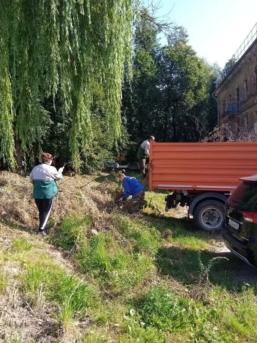 🌳 Не сбавляем темп - приводим дворы в порядок!